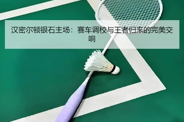 han-mi-er-dun-yin-shi-zhu-chang-sai-che-diao-xiao-yu-wang-zhe-gui-lai-de-wan-mei-jiao-xiang-2-862.jpg